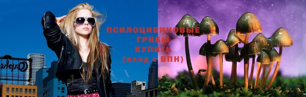 спиды Алзамай