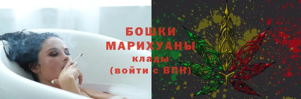 дмт Арсеньев