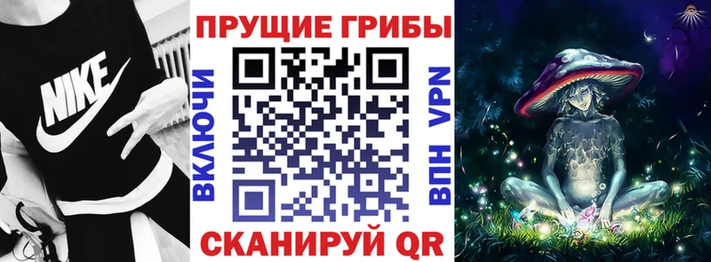 Купить где  Плёс  Псилоцибиновые грибы Psilocybine cubensis 
